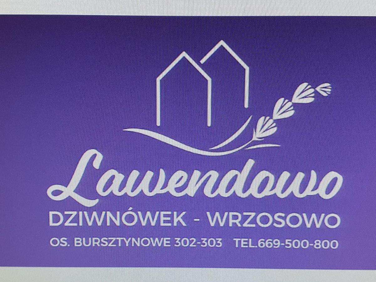 فيلا Lawendowo Wrzosowo  المظهر الخارجي الصورة